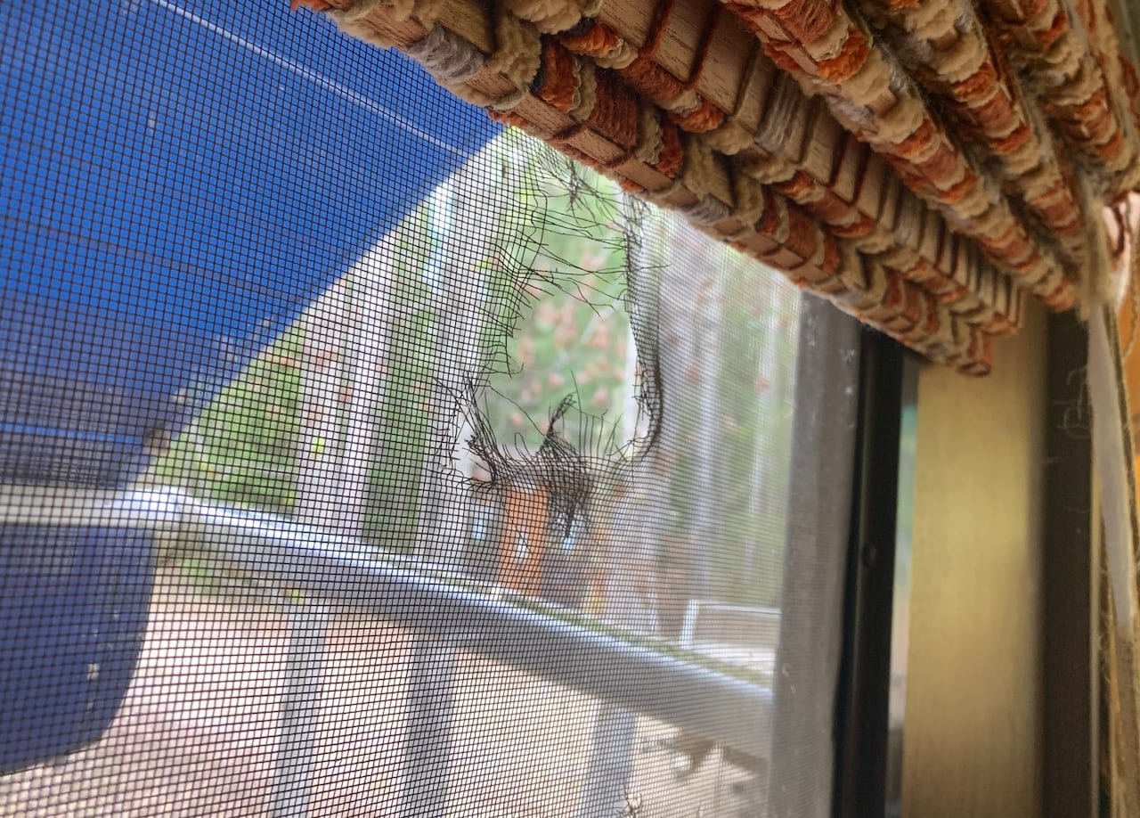 A hole in a camper window screen.